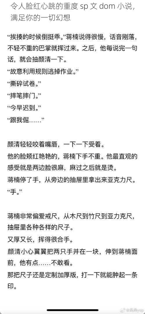 令人脸红心跳的重度 sp 文 dom 小说,满足你的一切幻想