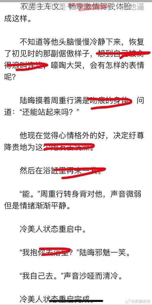 双男主车文:畅享激情驾驶体验