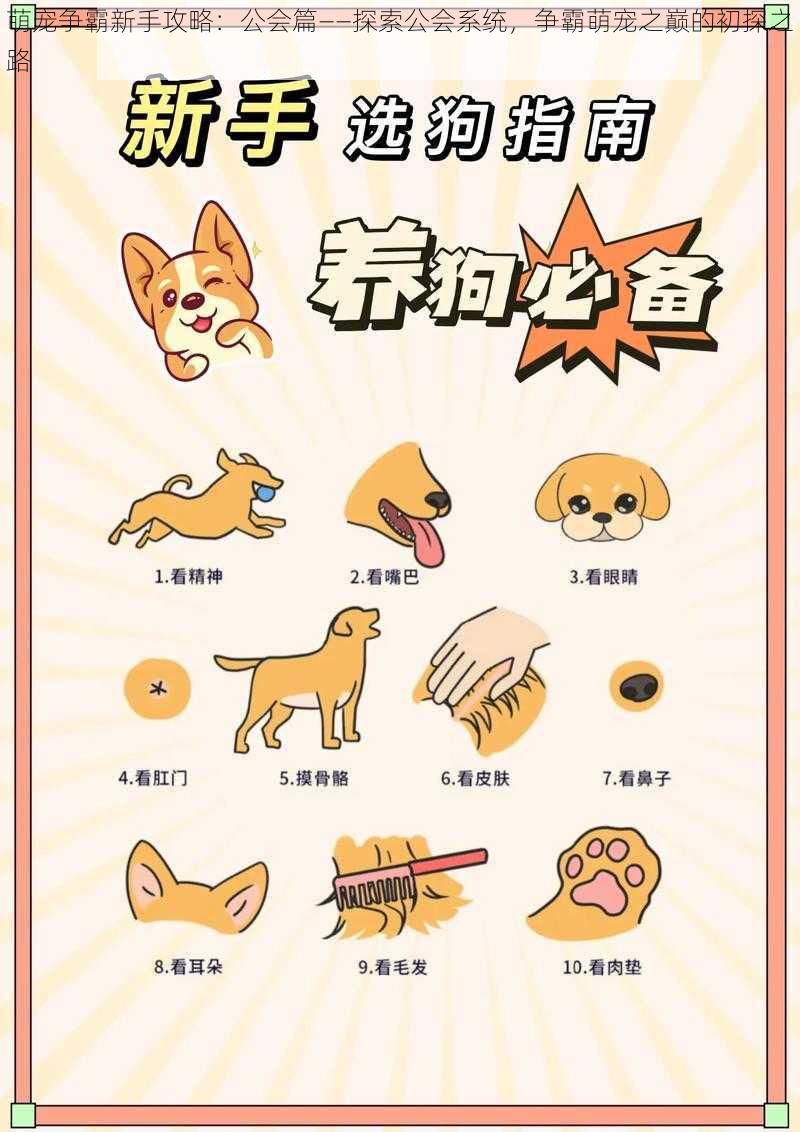 萌宠争霸新手攻略:公会篇——探索公会系统,争霸萌宠之巅的初探之路