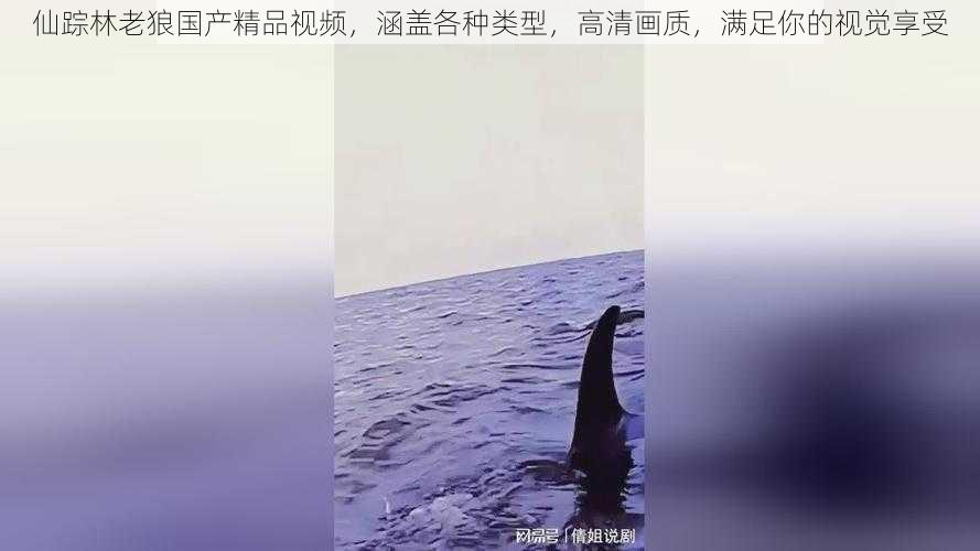仙踪林老狼国产精品视频,涵盖各种类型,高清画质,满足你的视觉享受