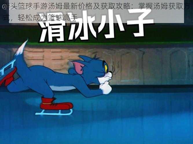 街头篮球手游汤姆最新价格及获取攻略:掌握汤姆获取方式,轻松成为篮球高手