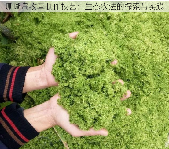 珊瑚岛牧草制作技艺:生态农法的探索与实践