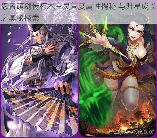 忍者萌剑传朽木白灵首度属性揭秘 与升星成长之奥秘探索