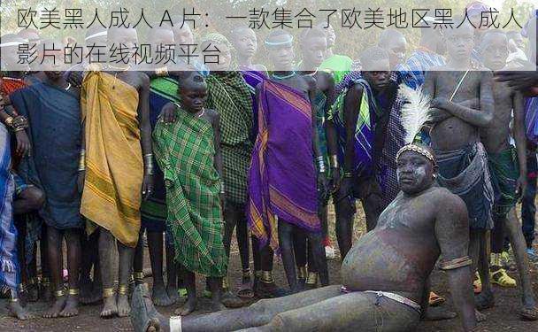 欧美黑人成人 A 片:一款集合了欧美地区黑人成人影片的在线视频平台