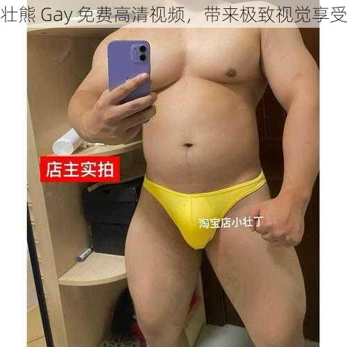 壮熊 Gay 免费高清视频,带来极致视觉享受