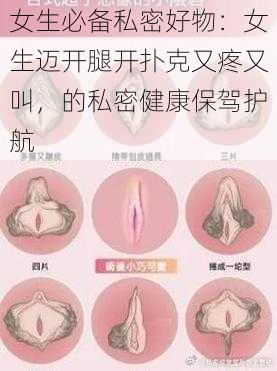 女生必备私密好物:女生迈开腿开扑克又疼又叫,的私密健康保驾护航