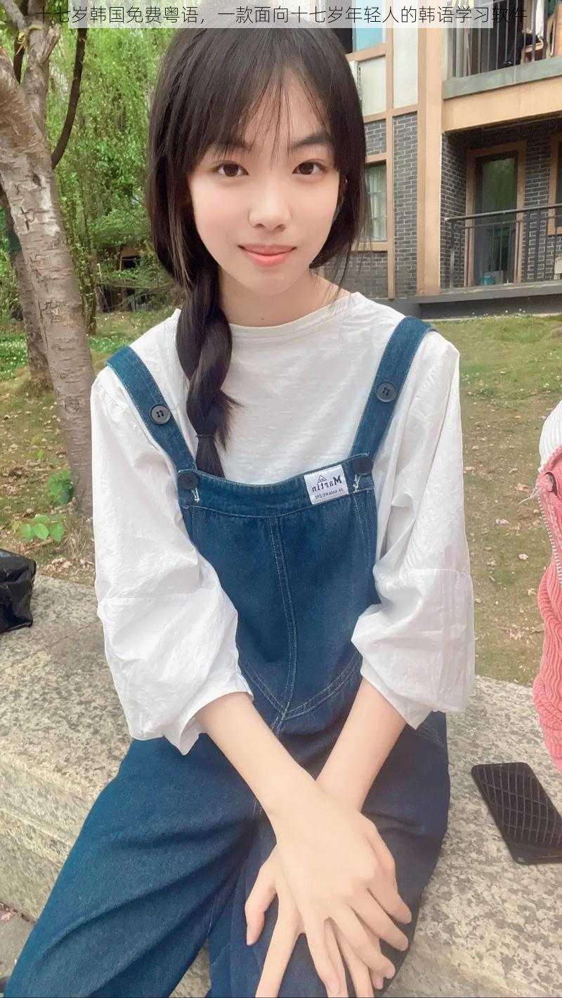 十七岁韩国免费粤语,一款面向十七岁年轻人的韩语学习软件