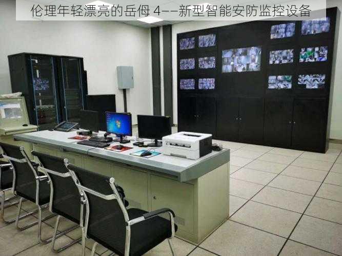 伦理年轻漂亮的岳㑄 4——新型智能安防监控设备