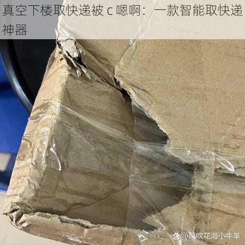 真空下楼取快递被 c 嗯啊:一款智能取快递神器
