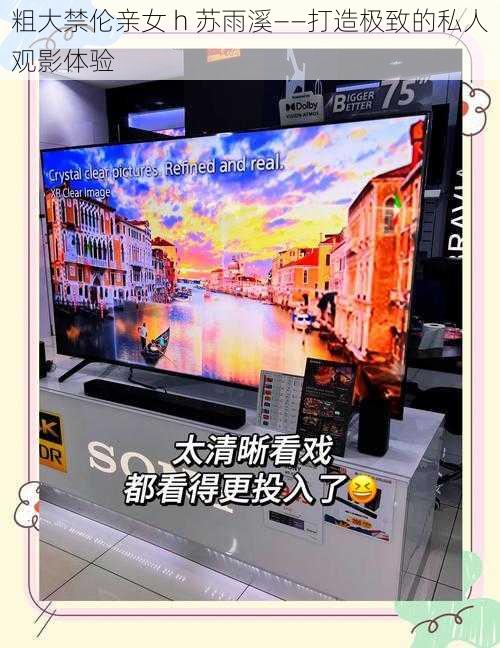 粗大禁伦亲女 h 苏雨溪——打造极致的私人观影体验