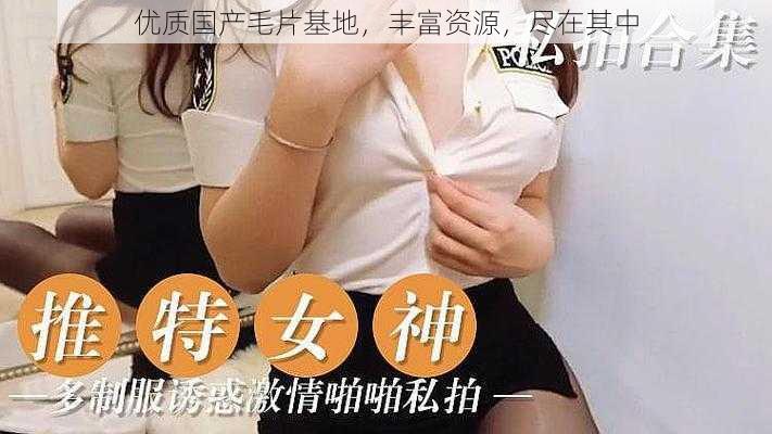 优质国产毛片基地,丰富资源,尽在其中