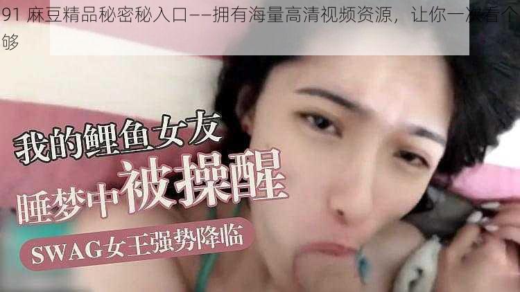 91 麻豆精品秘密秘入口——拥有海量高清视频资源,让你一次看个够