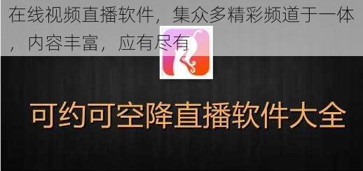 在线视频直播软件,集众多精彩频道于一体,内容丰富,应有尽有