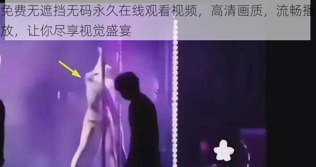 免费无遮挡无码永久在线观看视频,高清画质,流畅播放,让你尽享视觉盛宴