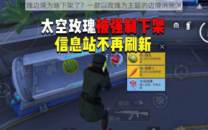 玫瑰边境为啥下架了?一款以玫瑰为主题的边境消除游戏