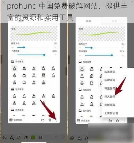 prohund 中国免费破解网站,提供丰富的资源和实用工具