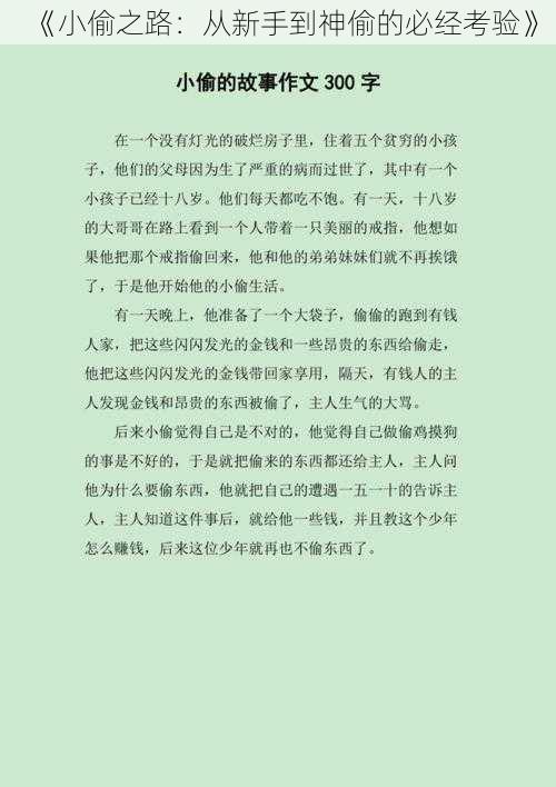 《小偷之路:从新手到神偷的必经考验》