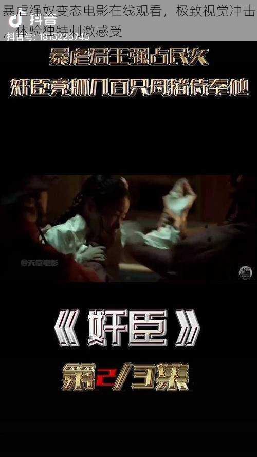 暴虐绳奴变态电影在线观看,极致视觉冲击,体验独特刺激感受