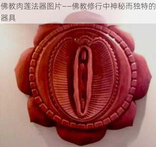 佛教肉莲法器图片——佛教修行中神秘而独特的器具
