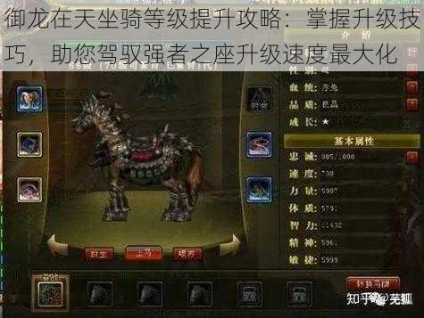 御龙在天坐骑等级提升攻略:掌握升级技巧,助您驾驭强者之座升级速度最大化