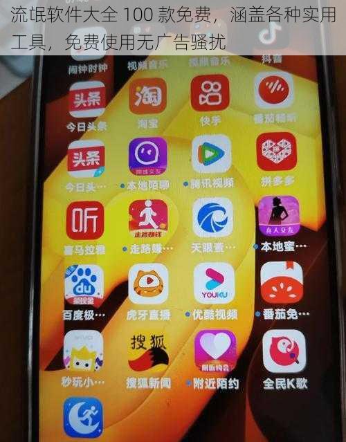 流氓软件大全 100 款免费,涵盖各种实用工具,免费使用无广告骚扰