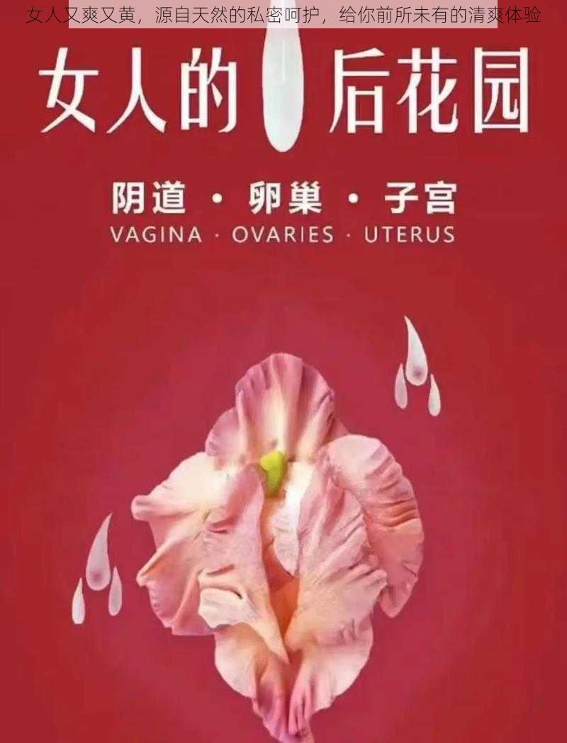 女人又爽又黄,源自天然的私密呵护,给你前所未有的清爽体验