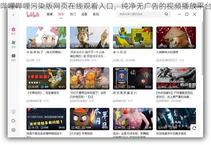 哔哩哔哩污染版网页在线观看入口,纯净无广告的视频播放平台