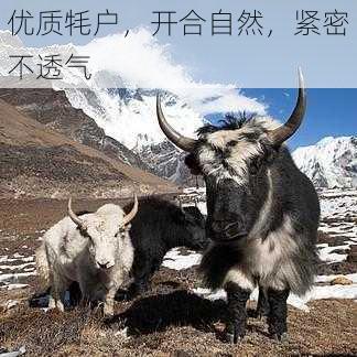 优质牦户,开合自然,紧密不透气
