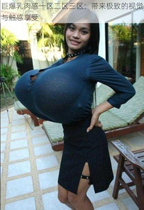 巨爆乳肉感一区二区三区:带来极致的视觉与触感享受