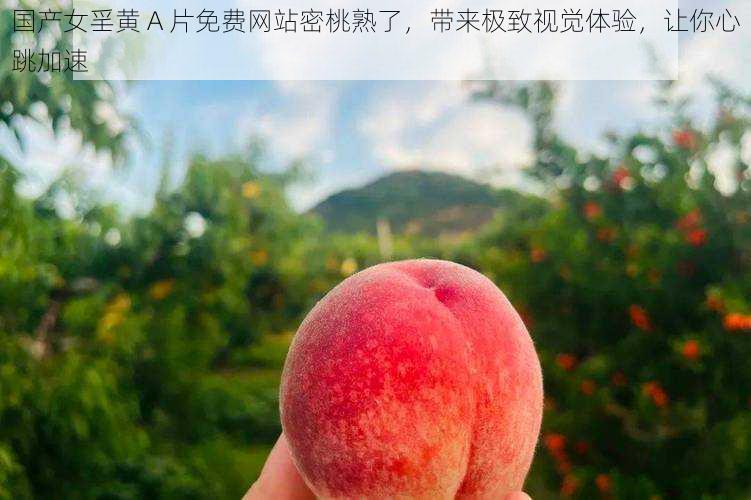 国产女㸒黄 A 片免费网站密桃熟了,带来极致视觉体验,让你心跳加速