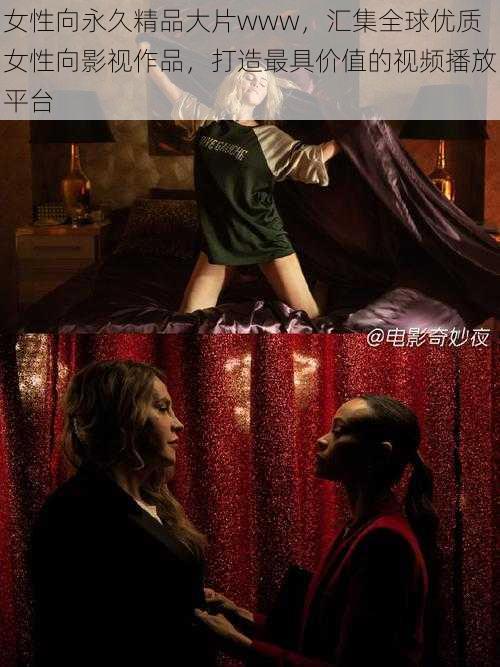 女性向永久精品大片www,汇集全球优质女性向影视作品,打造最具价值的视频播放平台