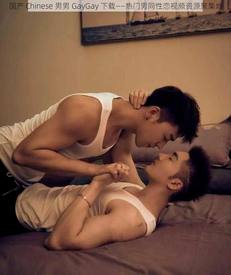 国产 Chinese 男男 GayGay 下载——热门男同性恋视频资源聚集地