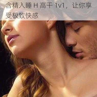 含精入睡 H 高干 1v1,让你享受极致快感