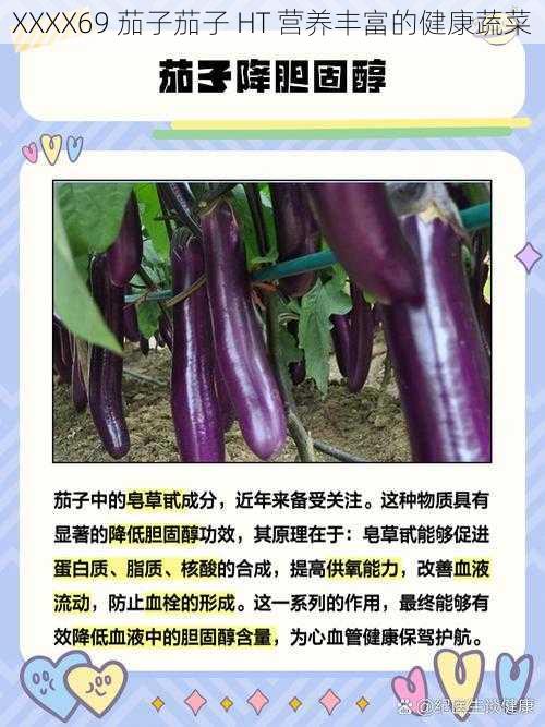 XXXX69 茄子茄子 HT 营养丰富的健康蔬菜