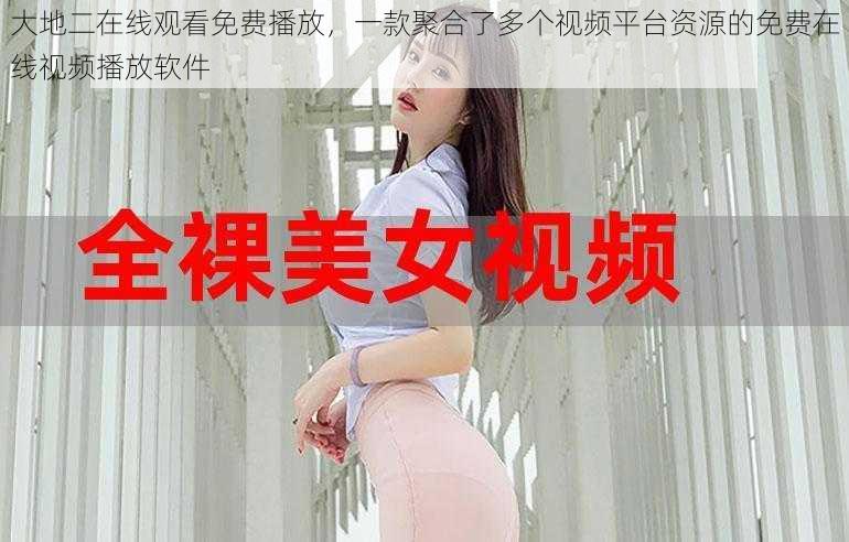 大地二在线观看免费播放,一款聚合了多个视频平台资源的免费在线视频播放软件