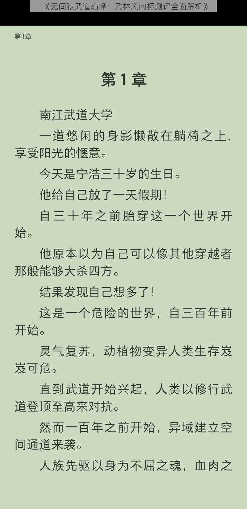 《无间狱武道巅峰:武林风向标测评全面解析》