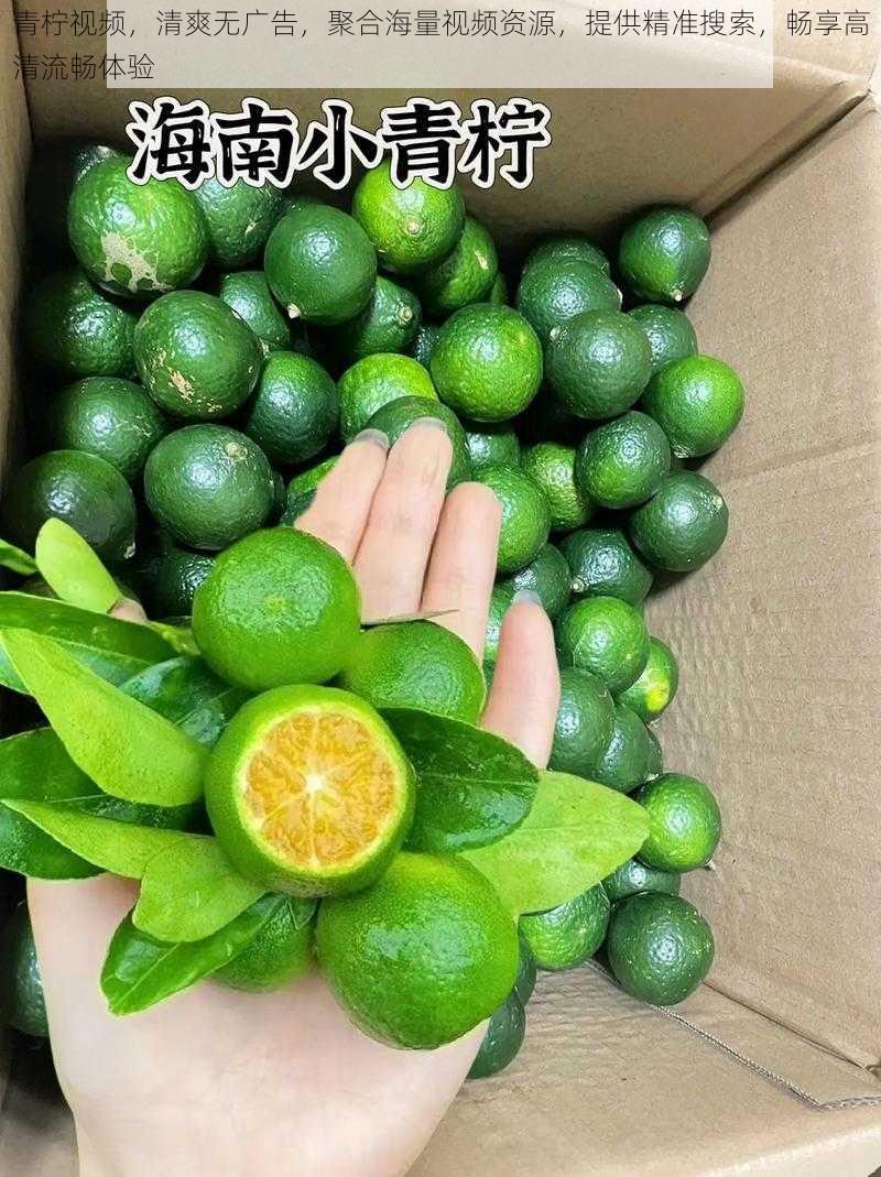 青柠视频,清爽无广告,聚合海量视频资源,提供精准搜索,畅享高清流畅体验