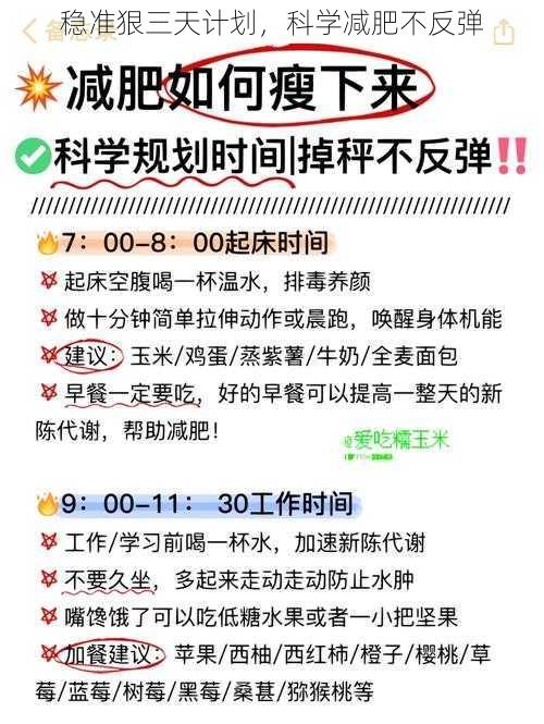 稳准狠三天计划,科学减肥不反弹