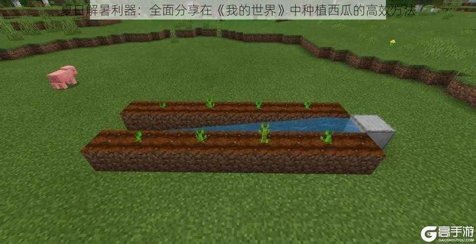 夏日解暑利器:全面分享在《我的世界》中种植西瓜的高效方法