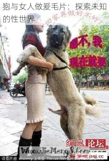 狍与女人做爰毛片:探索未知的性世界