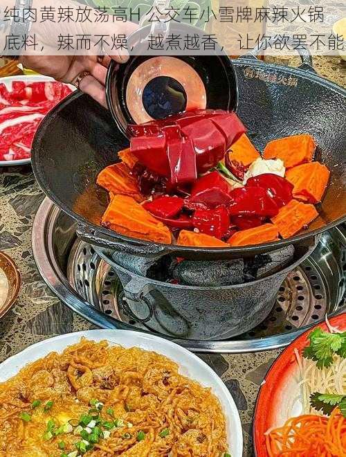 纯肉黄辣放荡高H 公交车小雪牌麻辣火锅底料,辣而不燥,越煮越香,让你欲罢不能