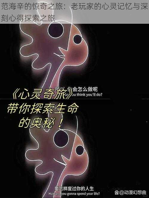 范海辛的惊奇之旅:老玩家的心灵记忆与深刻心得探索之旅