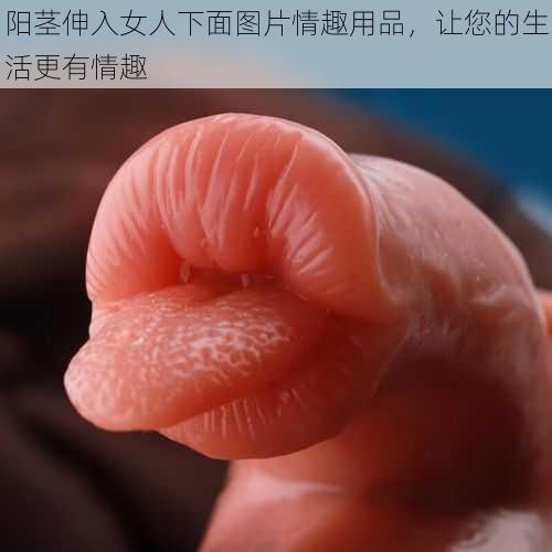 阳茎伸入女人下面图片情趣用品,让您的生活更有情趣