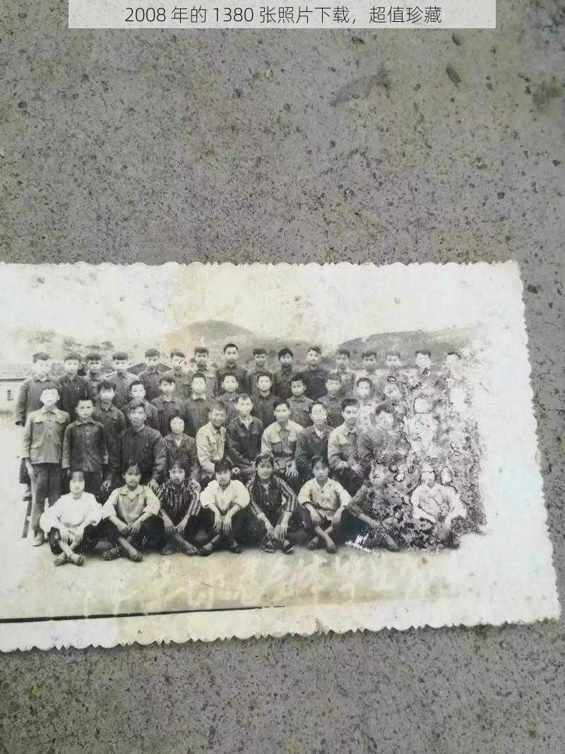 2008 年的 1380 张照片下载,超值珍藏