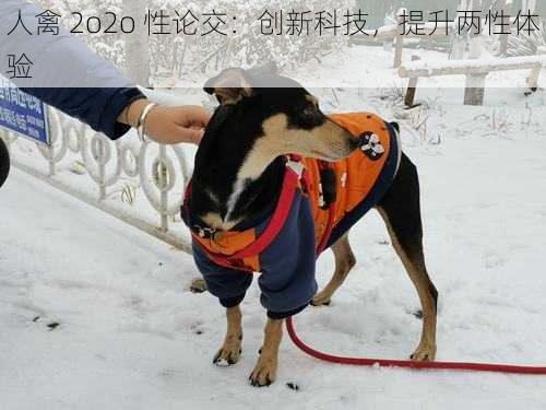 人禽 2o2o 性论交:创新科技,提升两性体验