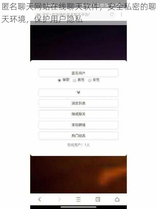 匿名聊天网站在线聊天软件,安全私密的聊天环境,保护用户隐私