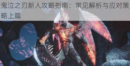 鬼泣之刃新人攻略指南:常见解析与应对策略上篇