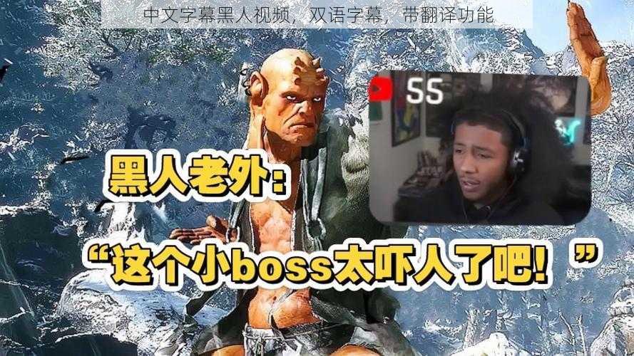 中文字幕黑人视频,双语字幕,带翻译功能