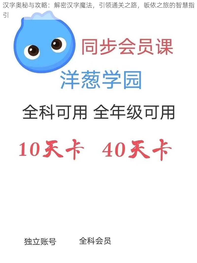 汉字奥秘与攻略:解密汉字魔法,引领通关之路,皈依之旅的智慧指引
