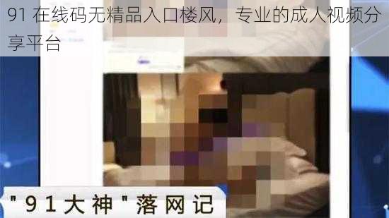 91 在线码无精品入口楼风,专业的成人视频分享平台